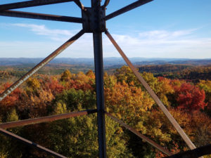 Photo of a Scenic Overlook in Autumn