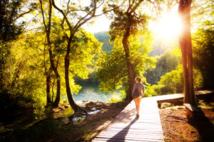 Photo of a Woman Forest Bathing During a Wellness Retreat in New England.