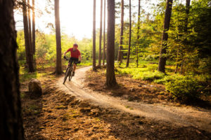 Photo of a Man Mountain Biking in Vermont's Backcountry.