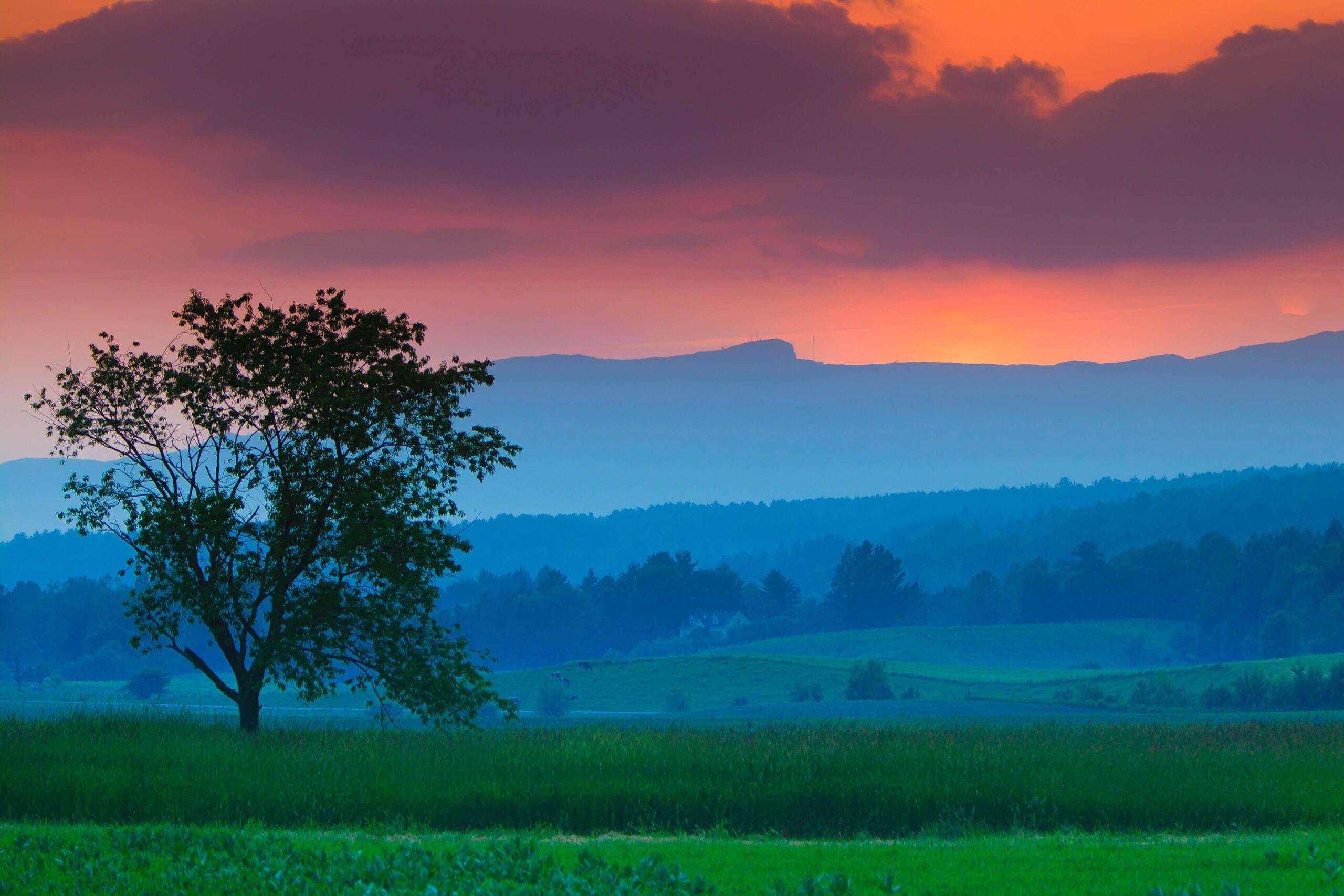 Dusk during a New England Summer.