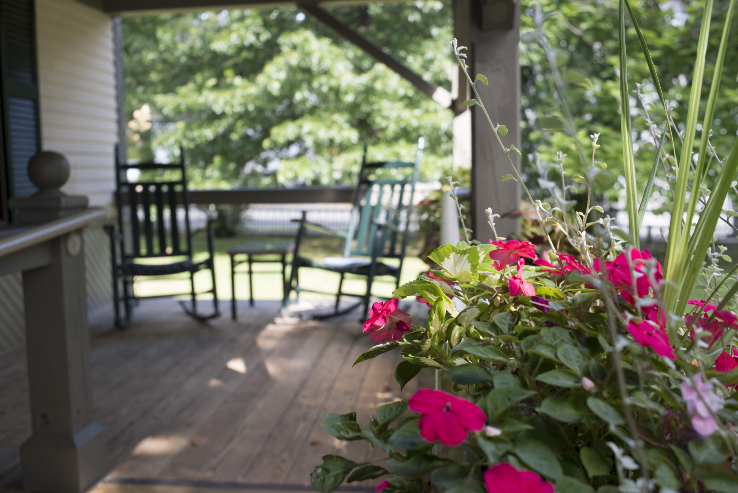 Pink flowers in focus on a wooden porch, with rocking chairs and green trees blurred in the background.