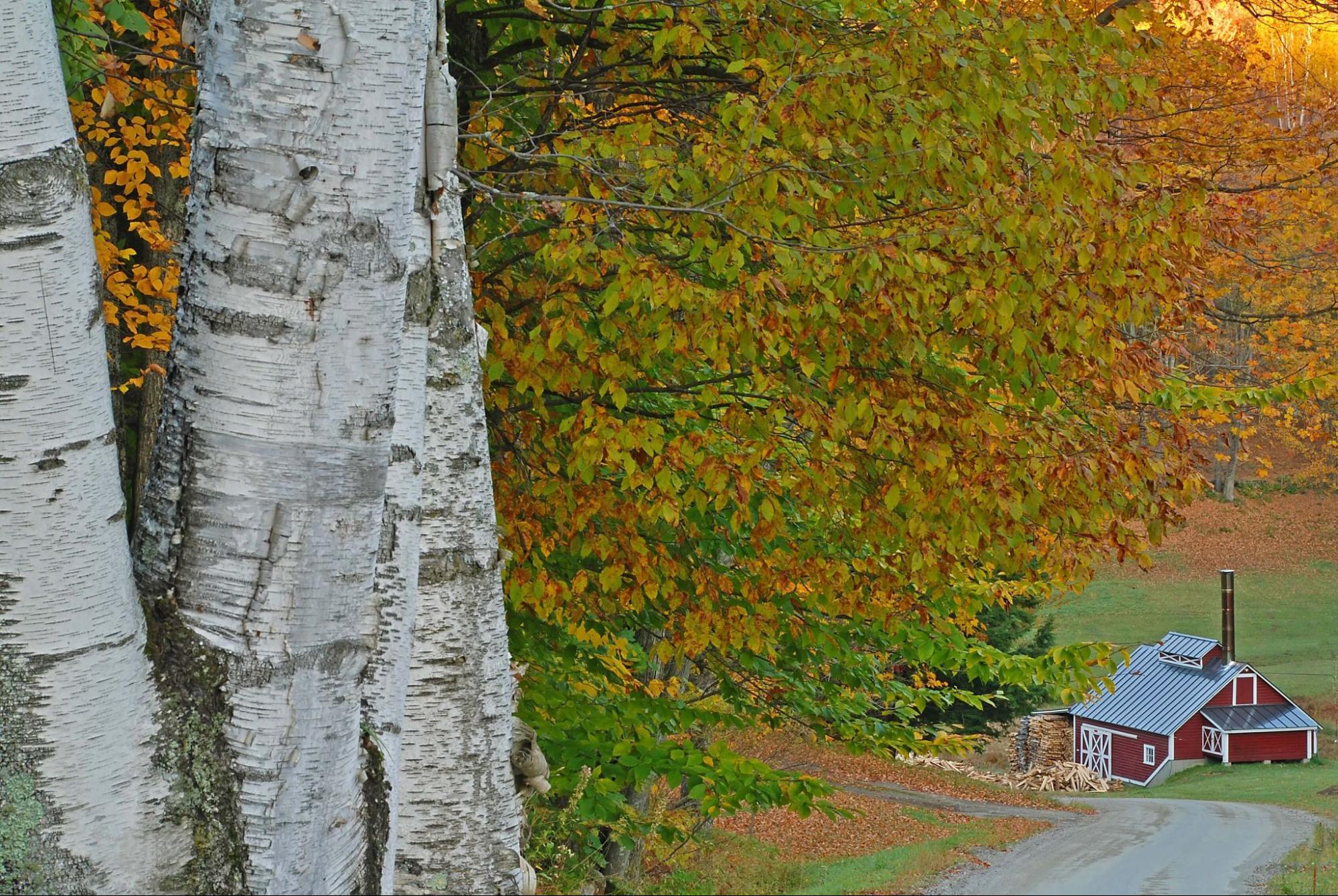 5 Summertime Outdoor Activities in the Upper Valley, Vermont