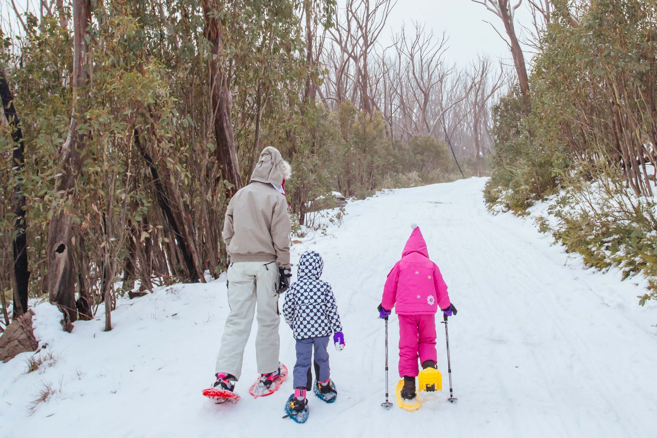 Guide To Some Of Norwich, Vermont, Area’s Best Snowshoeing Trails